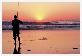 Fishing in Gisborne from your Gisborne Motel